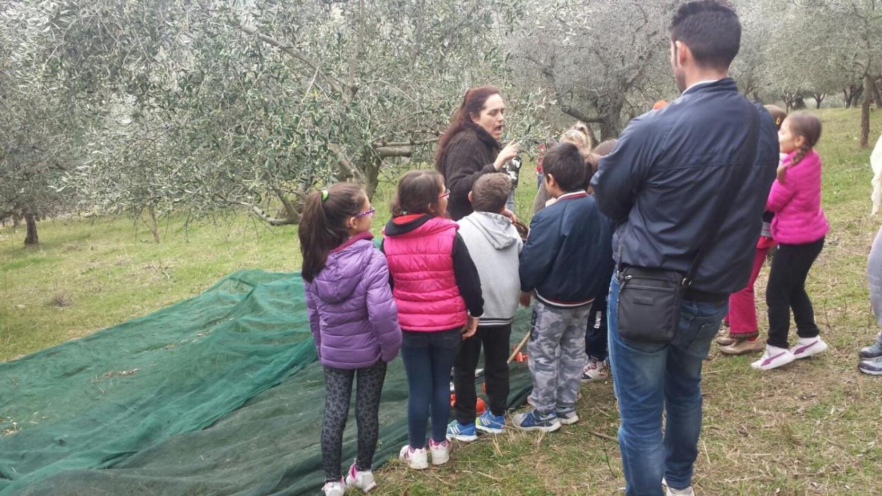 卡纳拉Societa Agricola F.Lli Angelucci别墅 外观 照片